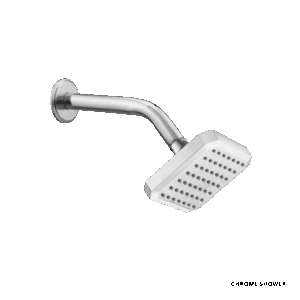 Chrome Shower